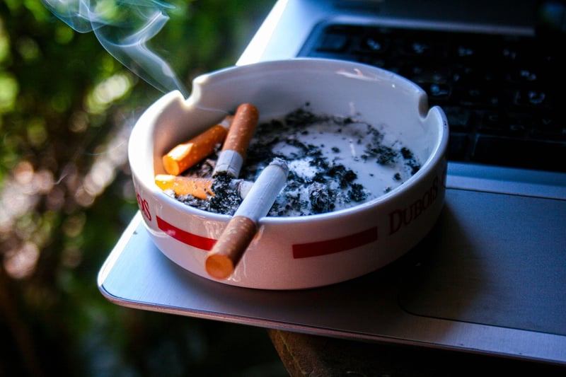 Smoke-Infused Dishes